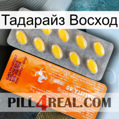 Тадарайз Восход new05